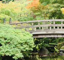 Koi pond bridges