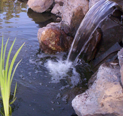 Pond spillways